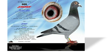 08619-15-137 NET.jpg