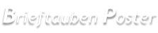 Brieftauben Poster