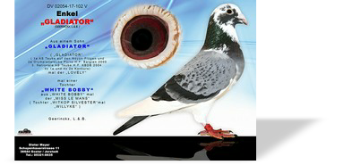 02054-17-102 NET.jpg